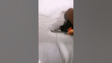 scraping freezer frost with a spatula #shorts