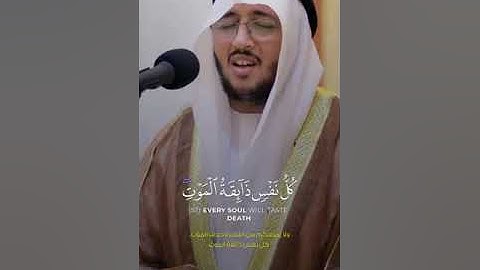 سعد أزويت: سورة العنكبوت.