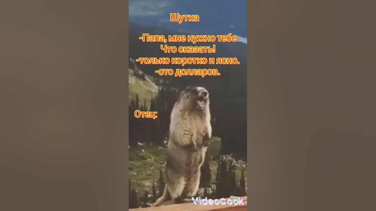 шутка мем #shorts - YouTube