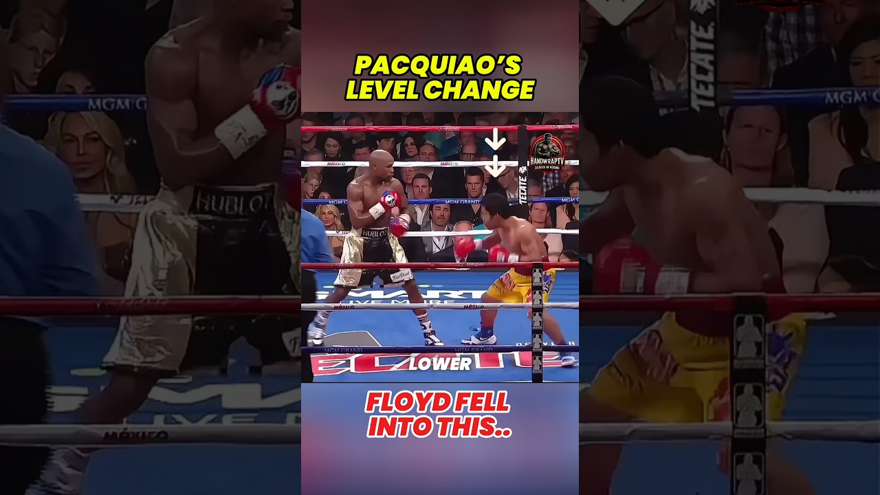 The Small Detail Everyone Missed #boxing #sports #shorts