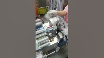 Semi auto power cord plug flag tagging machine