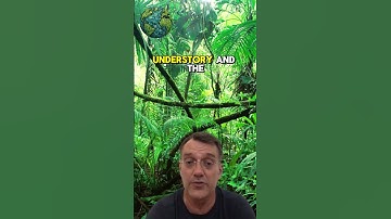 Alles over #ecosystemen 10 - tropisch #regenwoud #leren