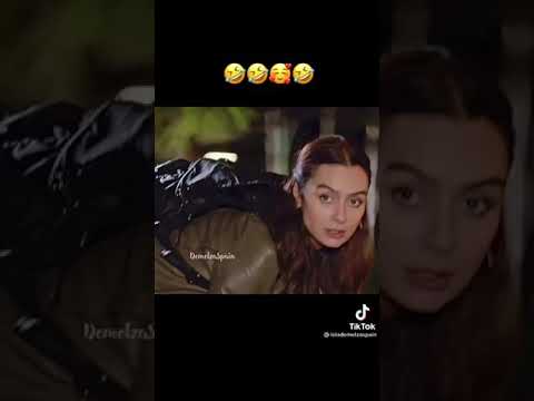 ١٧ أكتوبر ٢٠٢١