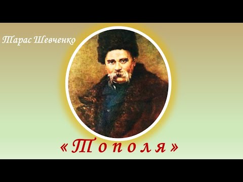 Тополя Тарас Шевченко