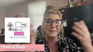 What is THE BRIDGE program