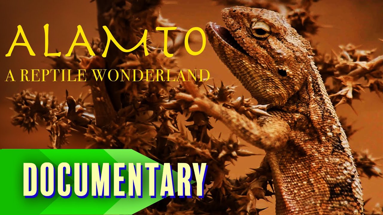 Documentary backdrop image for Discover Iran’s Rare and Exotic Reptiles 🦎 (2025)