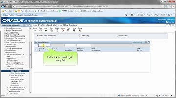 Create New Role - JDE E1 90 - General and Technical.mp4