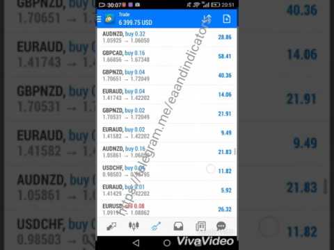 Forex trading profit per day