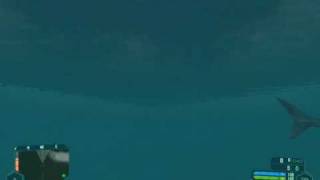 Found shark in crysis