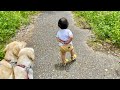 近所のおばあちゃんのマネしながら姉たちを先導する【長女ゴン🐕次女サン🐕三女ユウ👶】