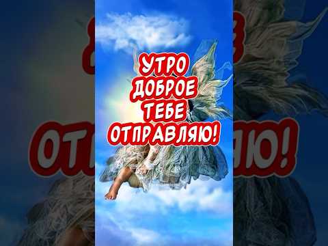 С Добрым Утром и Хорошим Днем🕊️#сдобрымутром