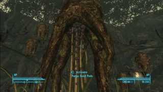 Fallout 3 (112) Point Lookout DLC: Punga Mind Trip screenshot 1