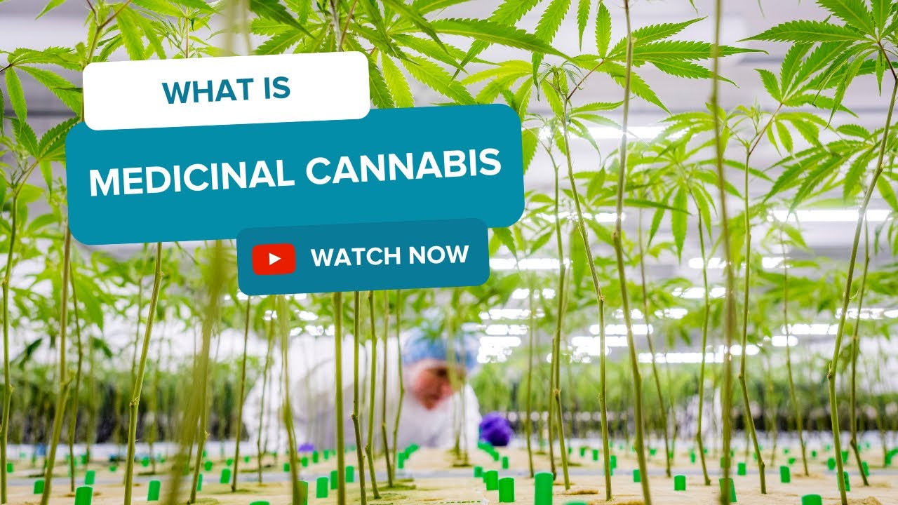 What is medicinal cannabis?