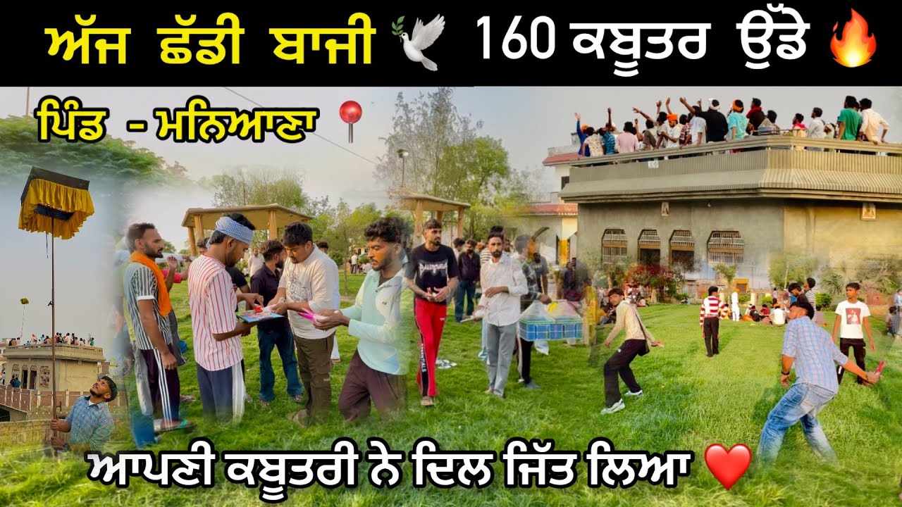 ਅੱਜ ਛੱਡੀ ਬਾਜੀ 🕊️|| 160 ਕਬੂਤਰ ਉੱਡੇ 🔥|| ਆਪਣੀ ਕਬੂਤਰੀ ਨੇ ਦਿਲ ਜਿੱਤ ਲਿਆ ❤️ || ਪਿੰਡ ਮਨਿਆਣਾ 📍