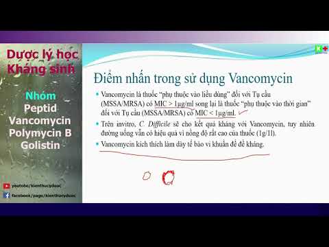 Video: Vancomycin thuộc nhóm kháng sinh nào?