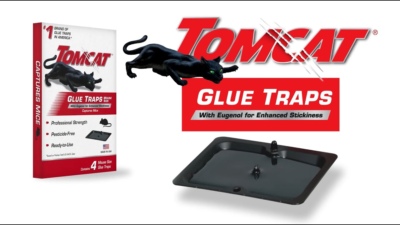 Tomcat Mouse Size Glue Traps