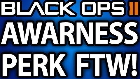 Black Ops 2 Awareness Perk, Best Game Mode to Rank Up, PS3 Prestige Glitcher