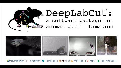 External video analysis | Análisis de videos externos DeepLabCut
