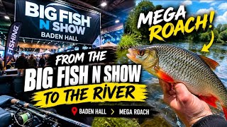FROM FISHING SHOW TO MEGA ROACH