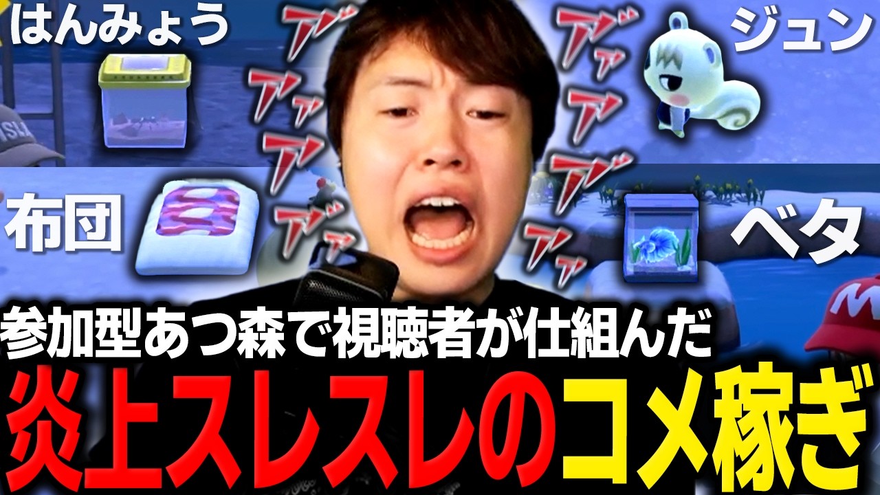 視聴者が仕組んだ過激なコメ稼ぎに発狂するマスオ【マスオ/あつまれどうぶつの森】