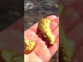 Minor signs of gold near us!