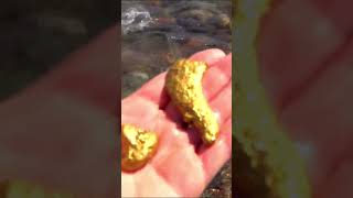 Minor signs of gold near us!