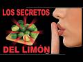 Los SECRETOS del LIMÓN – su Poder Oculto | Esoterismo Ayuda Espiritual