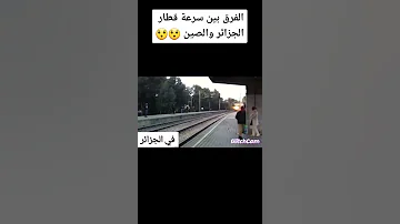 فرق سرعة القطار في الجزائر و الصين Shorts 