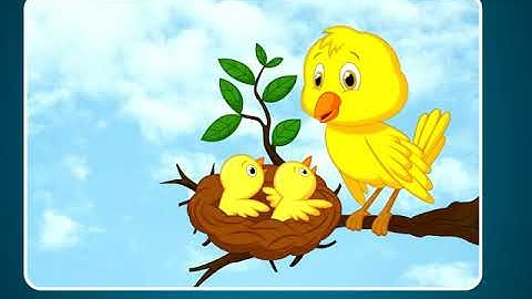 Incredible Science Class 4-Chapter 8-Page Number 77