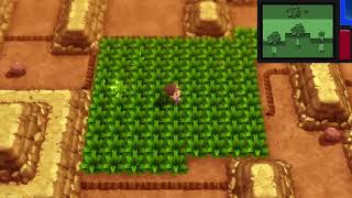 Catching A Shiny Camerupt Using 17 Chain Method