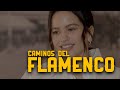 Rosala  caminos del flamenco  la 2