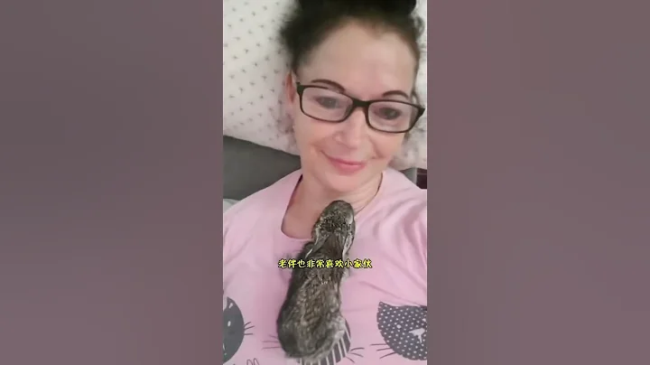 與媽媽走散的小兔寶誤入高速路，鄉下大叔收留照顧，長大後發現竟然撿到寶了 - 天天要聞