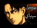 ليفاي اكرمان ༄سينباي AMV