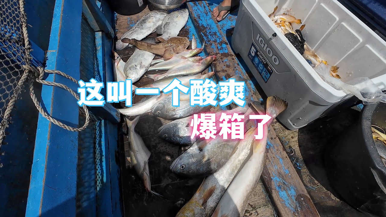 捕鱼还是得大潮，500块的船费一不小心就爆箱了