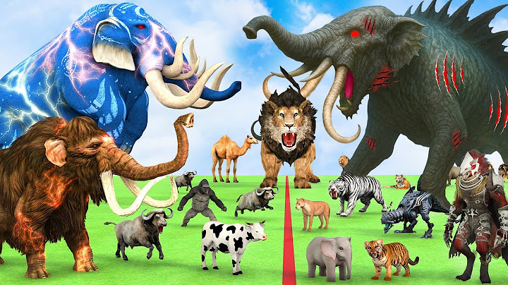 5 Giant Elephant Cow Vs Giant Angry Indian Elephant Vs 5 Giant Lion Tiger Cub Saved By Wolly Mammoth
