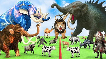 5 Giant Elephant Cow Vs Giant Angry Indian Elephant Vs 5 Giant Lion Tiger Saved By Wolly Mammoth