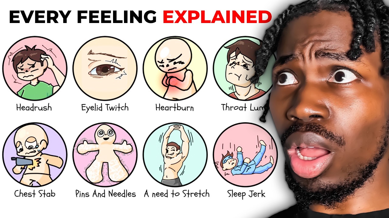 All Basic Feeling Every Bodily Feeling EXPLAINED... - YouTube