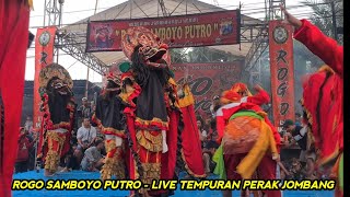 Rampak Barongan Jaranan ROGO SAMBOYO PUTRO Live Tempuran Perak Jombang