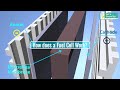 How does a hydrogen fuel cell work  what is hydrogen fuel cell  hydrogencell explain