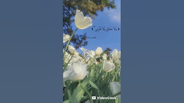 قرآن كريم #المصحف #اكسبلور #راحة_نفسية #لايك