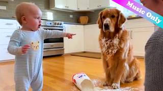 The Hearts First Language Heartwarming Dog Baby Moments