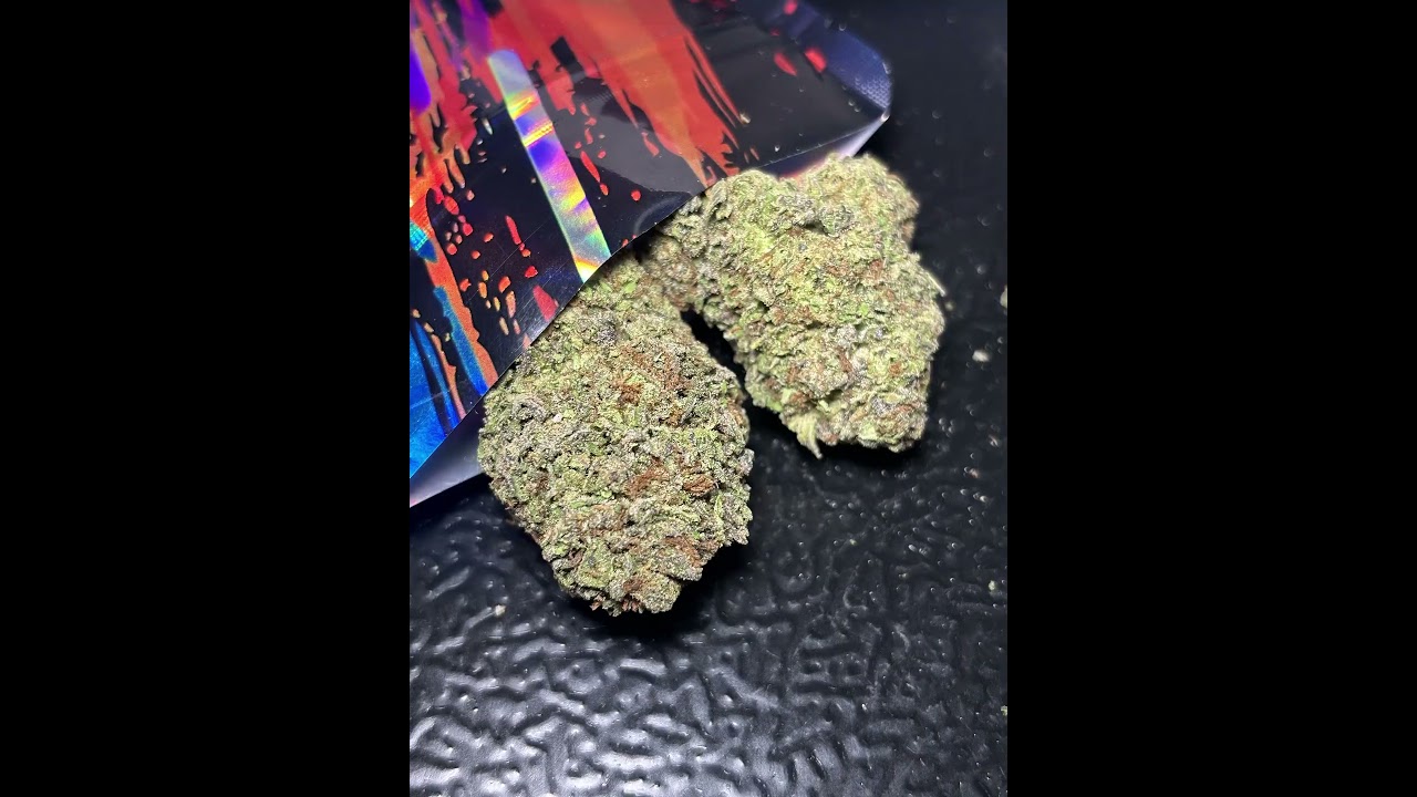 Chocolate Zookies (Sativa)