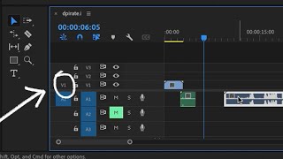 Solution for Premiere Pro Only Importing Audio and No Video
