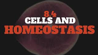 8.4 Homeostasis and Cells