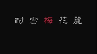 万貴音 5thシングル 雪梅花 Youtube