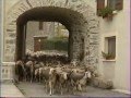 L'Agriculture dans les Monts de Lacaune