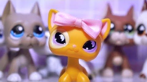 LPS FULL MEP ~ RECESS