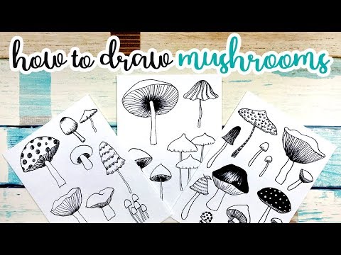 Video: How To Draw Mushrooms