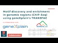 Motif discovery and enrichment in genomic regions (ChIP-Seq) using TRANSFAC