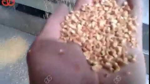 Peanut Crusher Machine|Nuts Chopping Machine Test Video From Cara@machinehall.com 008613015518550